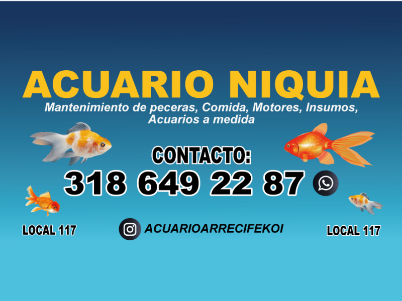 Acuario Niquia Arrecife Koi